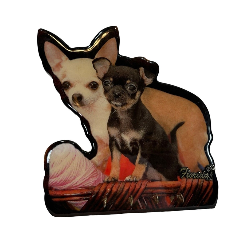 Chihuahua Dog Key Holder Clocks & Parts Florida Souvenir Novelty Decor Home